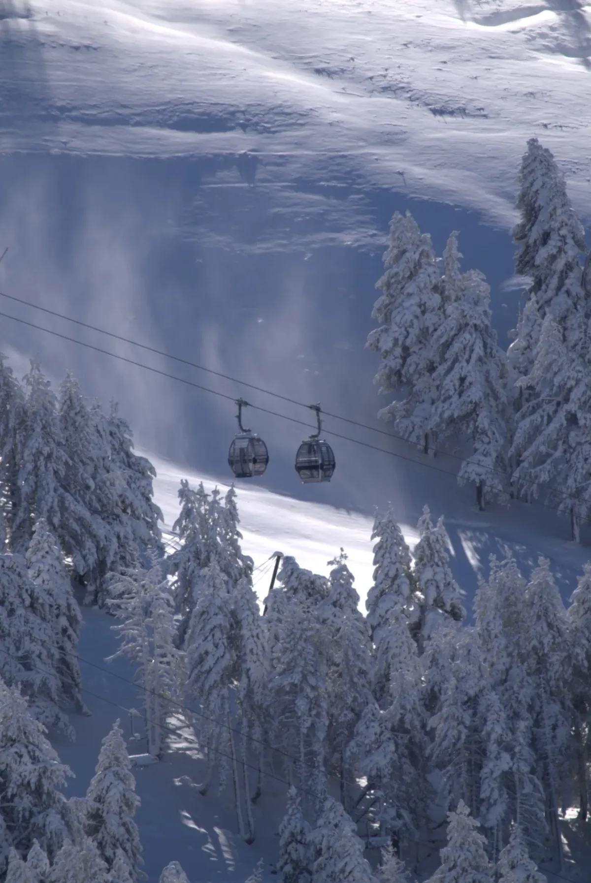 Produção de neve antes da abertura da temporada em Baqueira Beret – Alpine Ski Academy