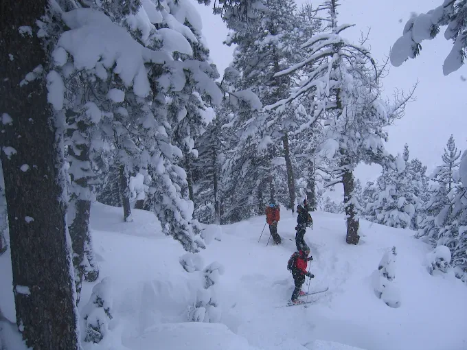 Free ride baqueira beret bosque — Alpine Ski Academy, Baqueira Beret